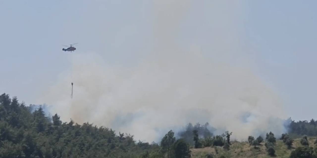 Osmaniye’de Çıkan Orman Yangını Söndürüldü