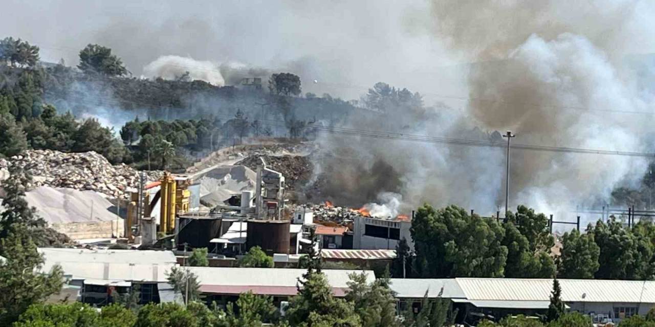 Belediyelerin Çöpleri Orman Yangınına Sebep Oldu