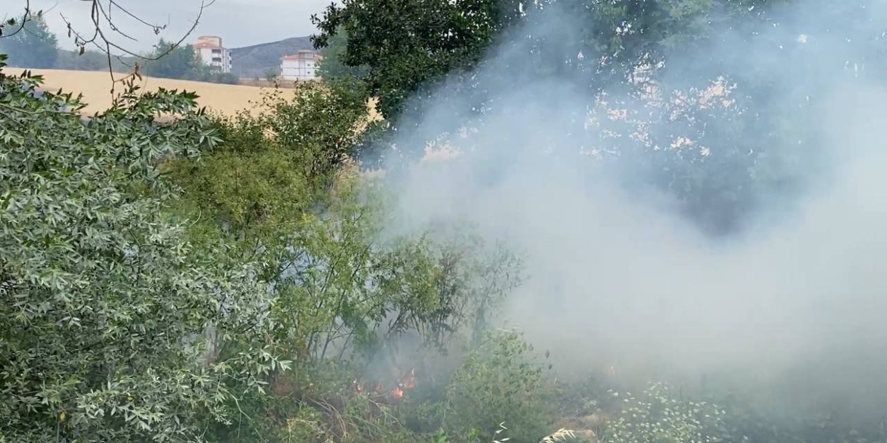 Arazide Çıkan Yangın Yerleşim Yerine Sıçramadan Söndürüldü