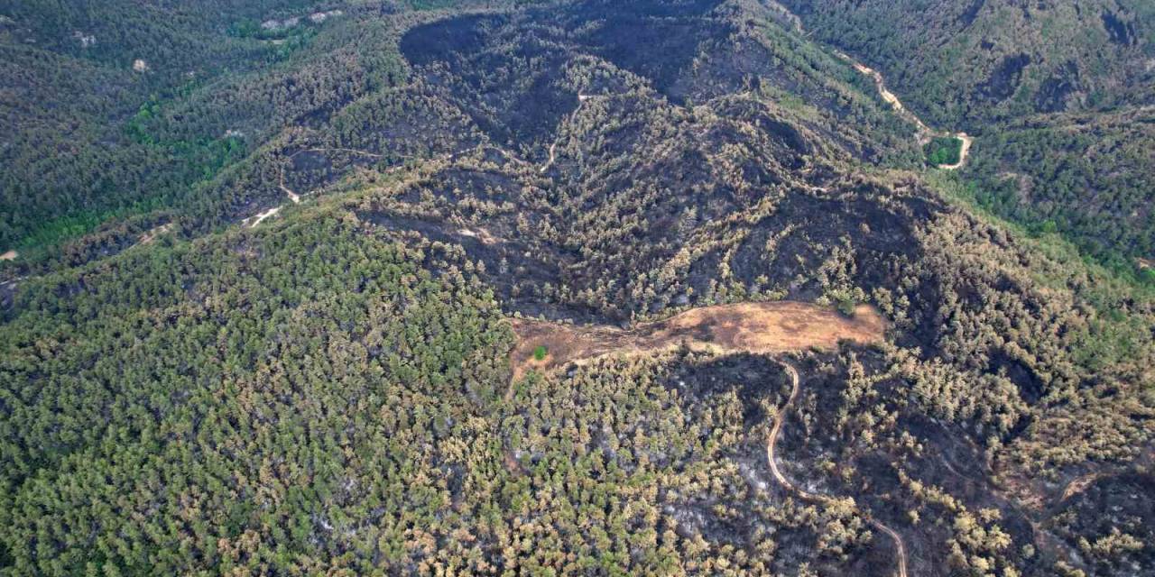 Yeşilin Tonlarının Yanarak Siyaha Büründüğü Alanlar Havadan Da Görüntülendi