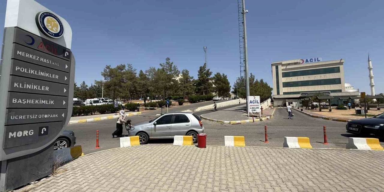 Diyarbakır’da Kız Kaçıran Gencin Annesi Öldürüldü