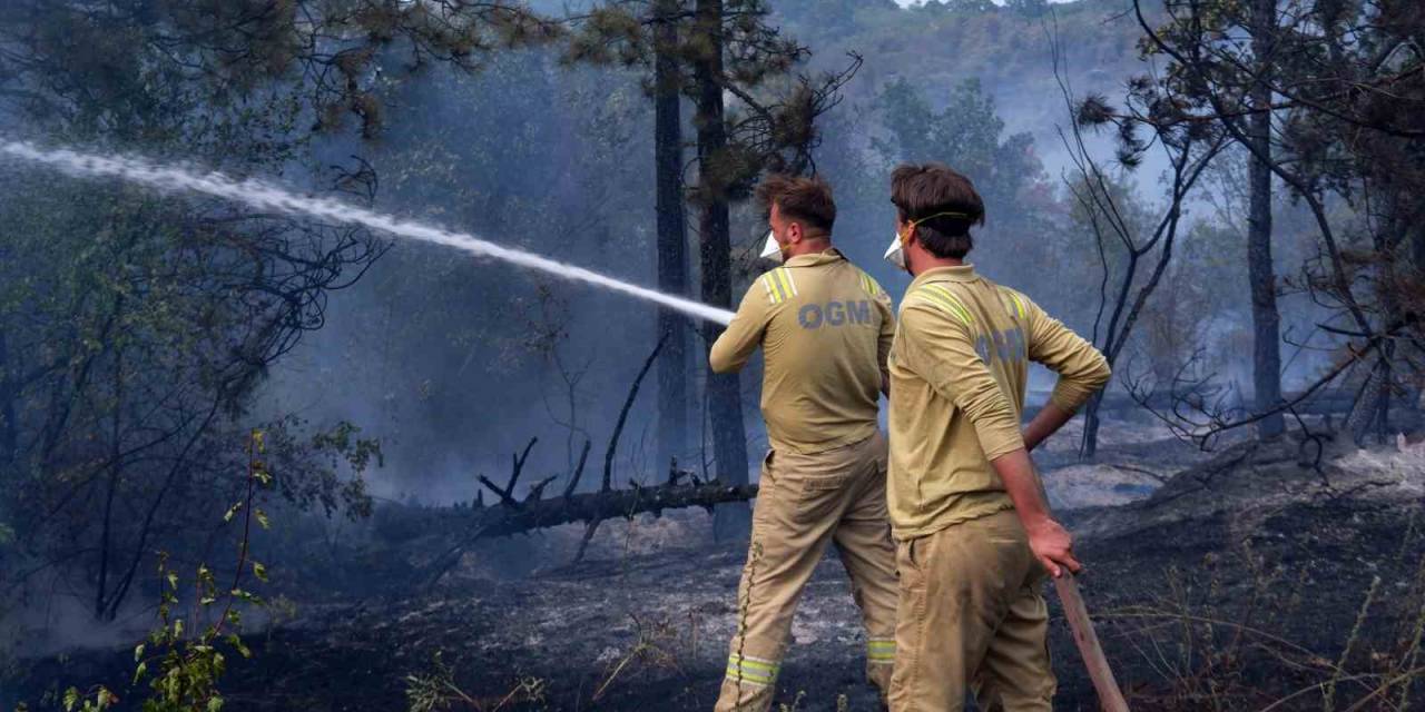 Edirne’de Orman Yangını: İstanbul, Tekirdağ, Kırklareli Ve Edirne Orman Ekipleri Alarmda