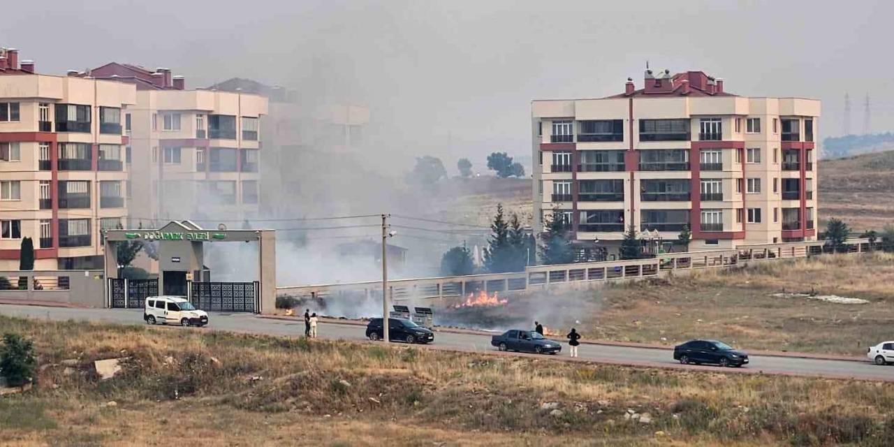 Çöpe Atılan Sigara İzmariti Nedeniyle Yangın Çıktı