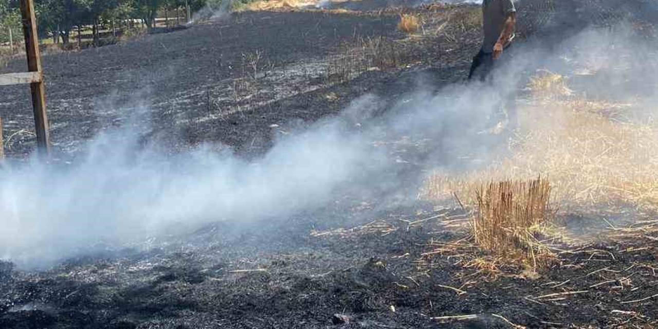 Elazığ’da Yangın: Ekili Alan Küle Döndü