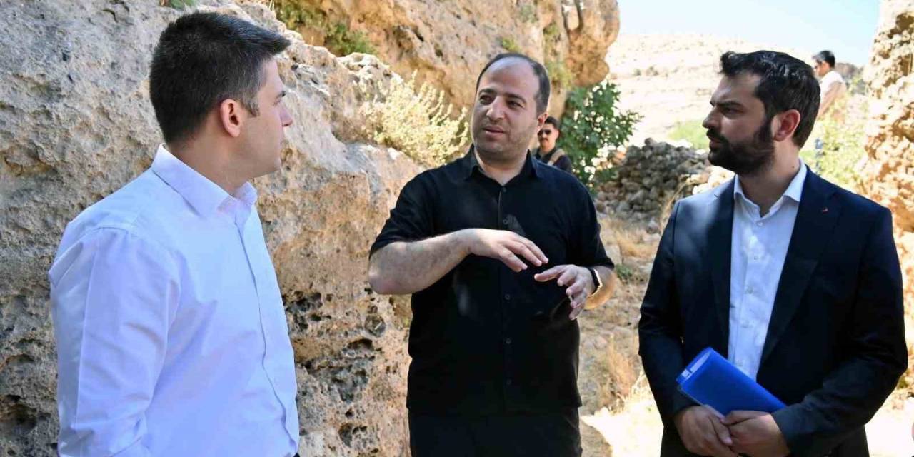 Derik Kaymakamı Bayraklı, Zeytinliklerde Yürütülen Sulama Çalışmalarını İnceledi