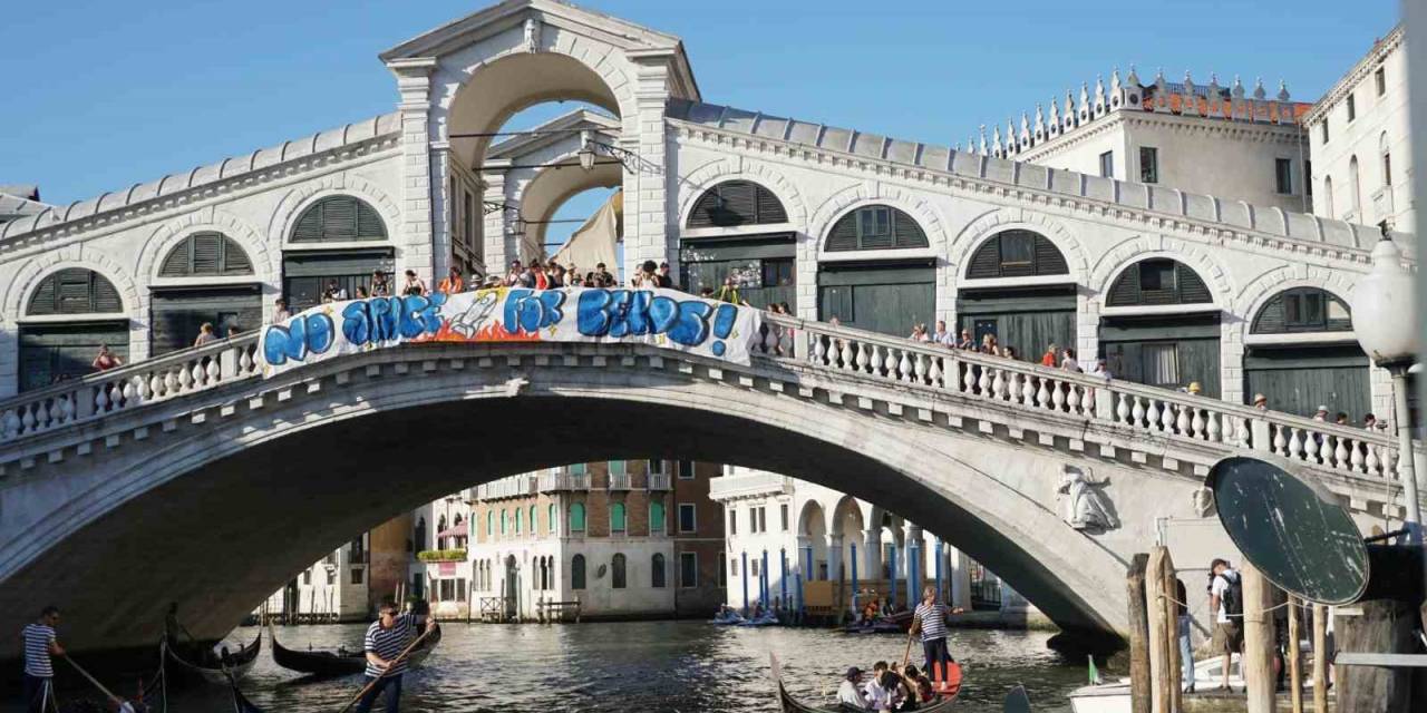 İtalya’da Bezos Düğününe Protesto: "Gezegen Yanıyor Ama Sorun Değil, İşte Lauren Sanchez’in 27 Elbiselik Listesi"