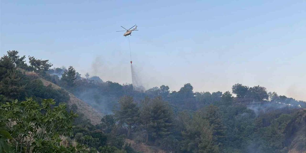 Horozköy Yangını Kontrol Altına Alındı