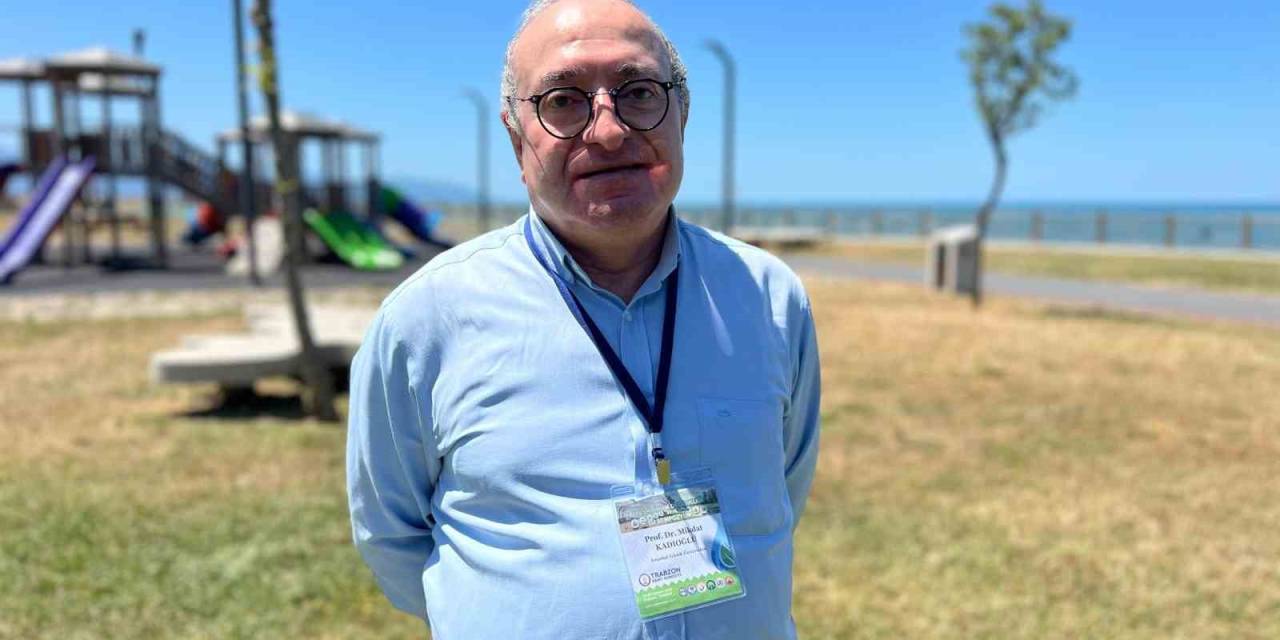 İklim Değişikliği Bin Kat Hızlandı: Kıyılar Tehlikede, Ekosistem Alarm Veriyor