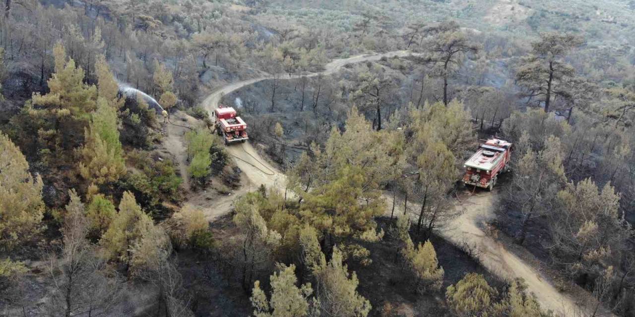 Balıkesir Havran’daki Yangında Havadan Müdahale Sabahın İlk Işıklarıyla Tekrar Başladı