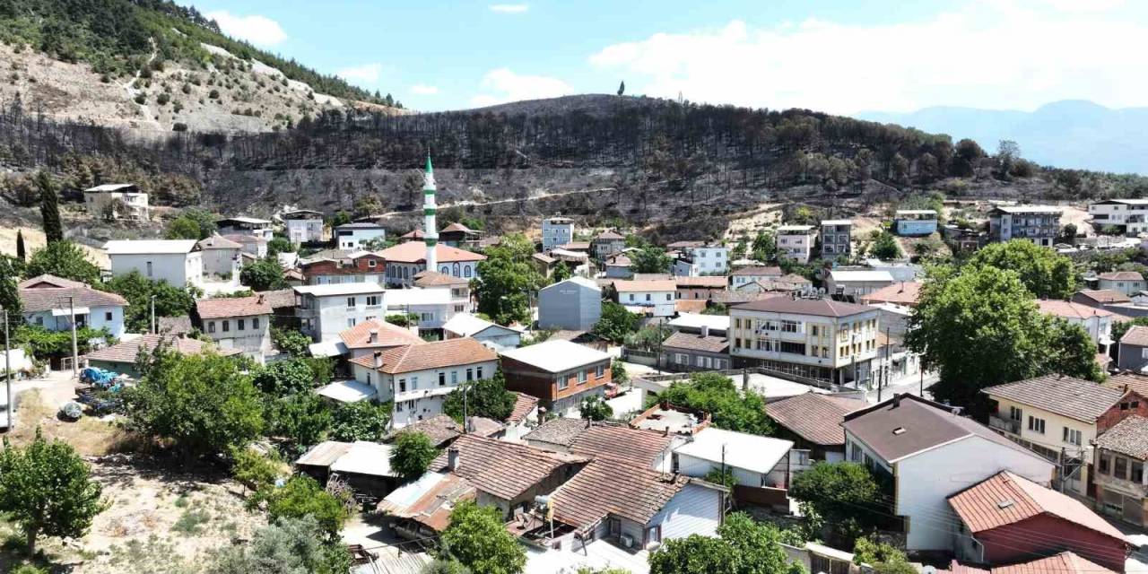 Zümrüt Yeşili Orman Manzaraları Kömürlüğe Döndü