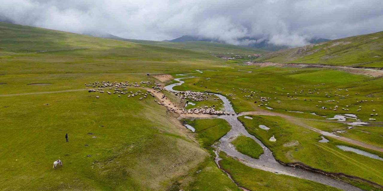 Gümüşhane Yaylalarında Görsel Şölen