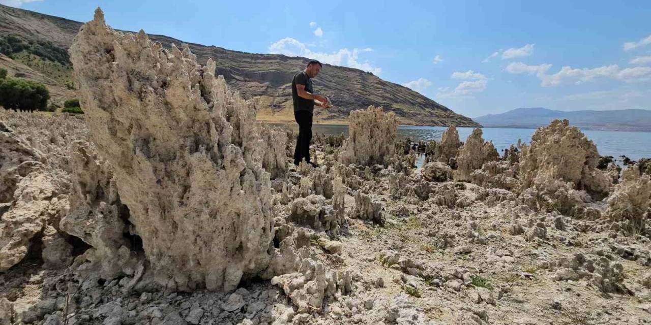 Van Gölü Sahilleri Mikrobiyalit Tarlasına Döndü