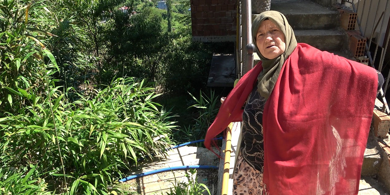 Rize'de mahalle sakininden kamış isyanı: "Bir kaç sene sonra köy kapanır"