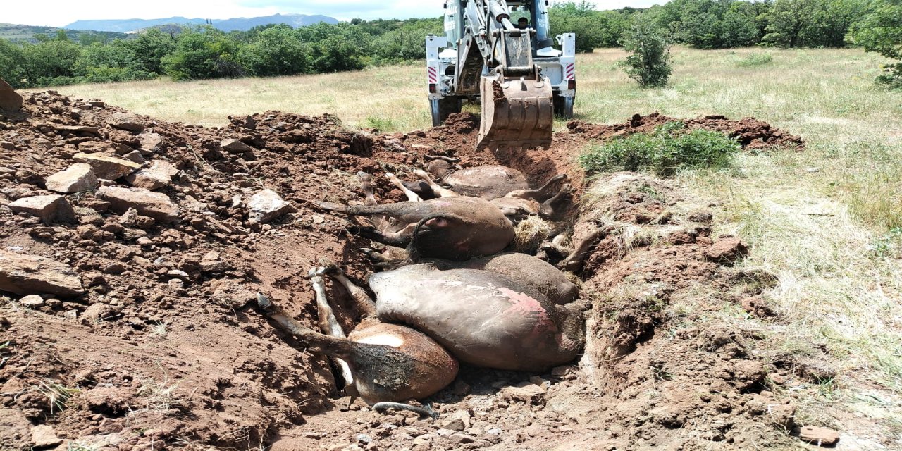 Giresun’da ahırda çıkan yangında 9 büyükbaş öldü