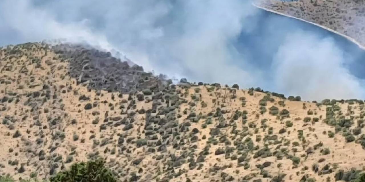 Van’da Orman Yangını: Ekipler Zorlu Arazide Yürüyerek Gitmeye Çalışıyor