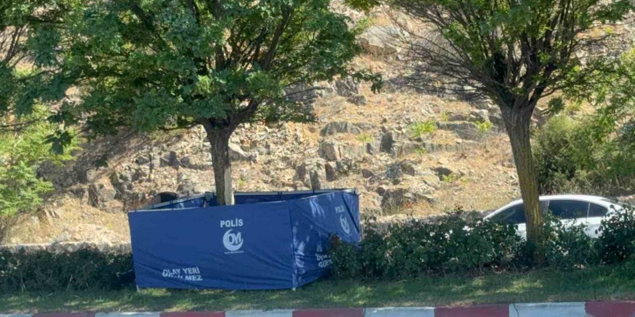 Bilecik’te Trafik Kazası: 1 Ölü, 1 Yaralı