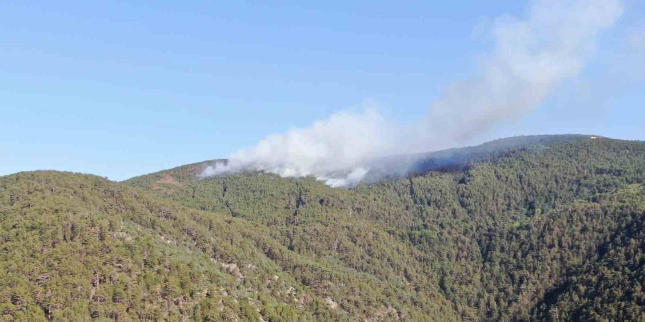 İki İlin Sınırında Çıkan Orman Yangını Havadan Görüntülendi