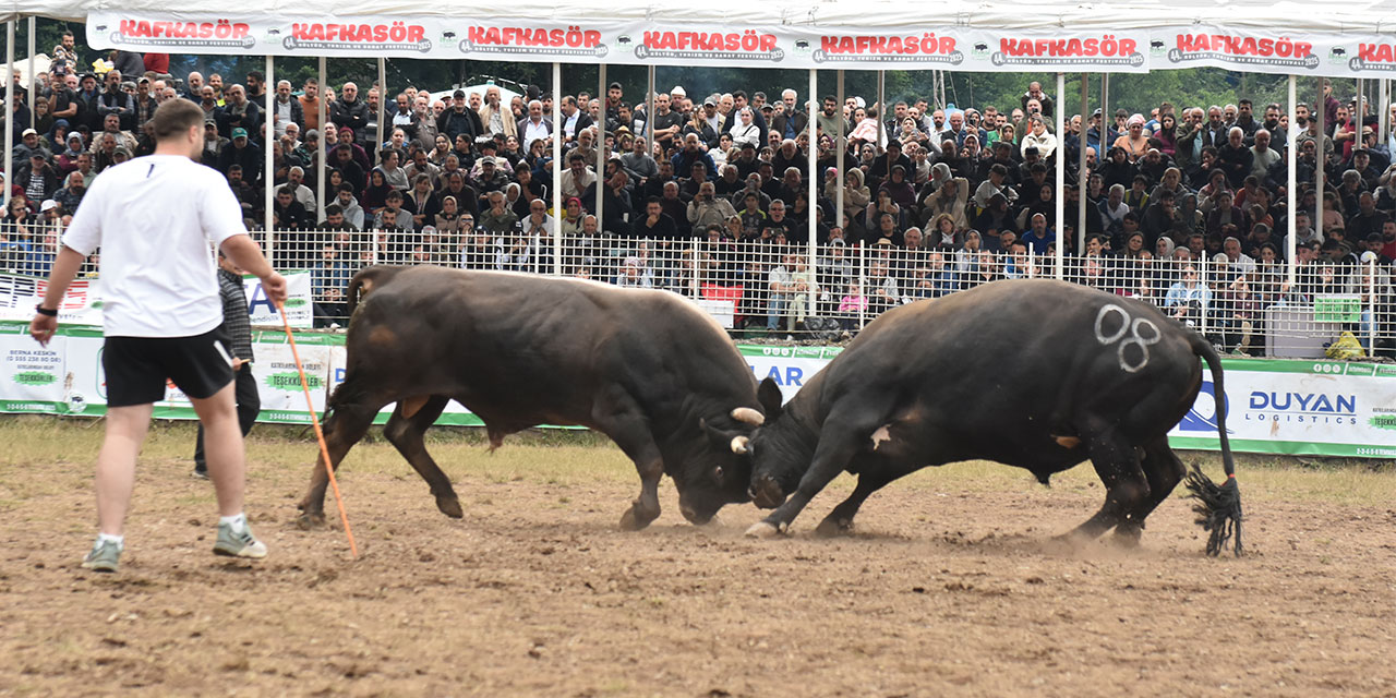 Artvin'de 44. Kafkasör Kültür, Turizm ve Sanat Festivali sona erdi