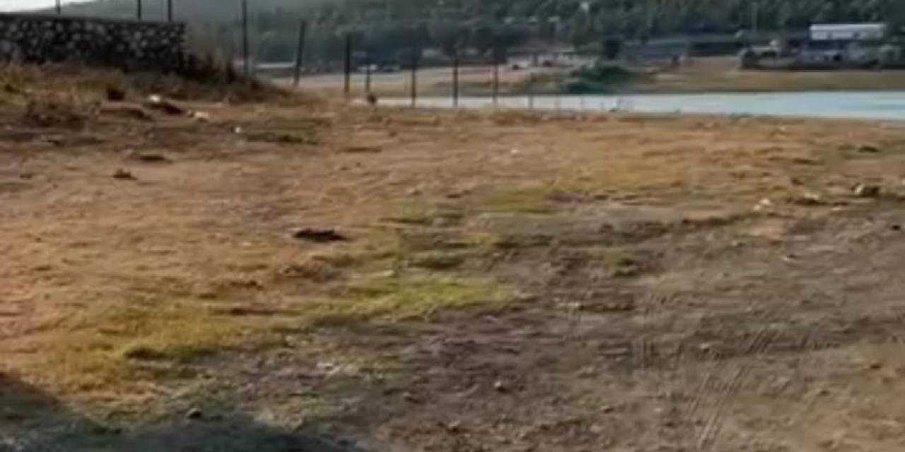 Yangına Müdahale Eden Jandarma Pilotundan Büyük Ustalık