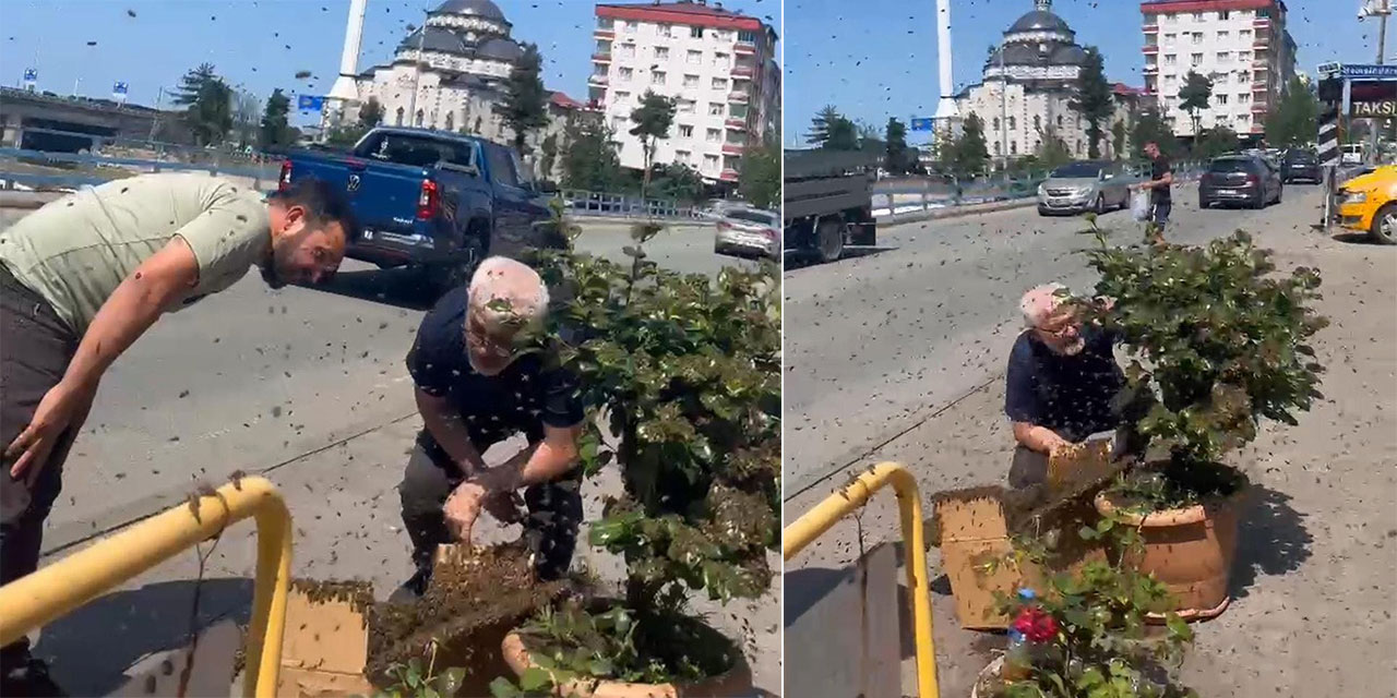 Rize’de arıların çiçek seferi