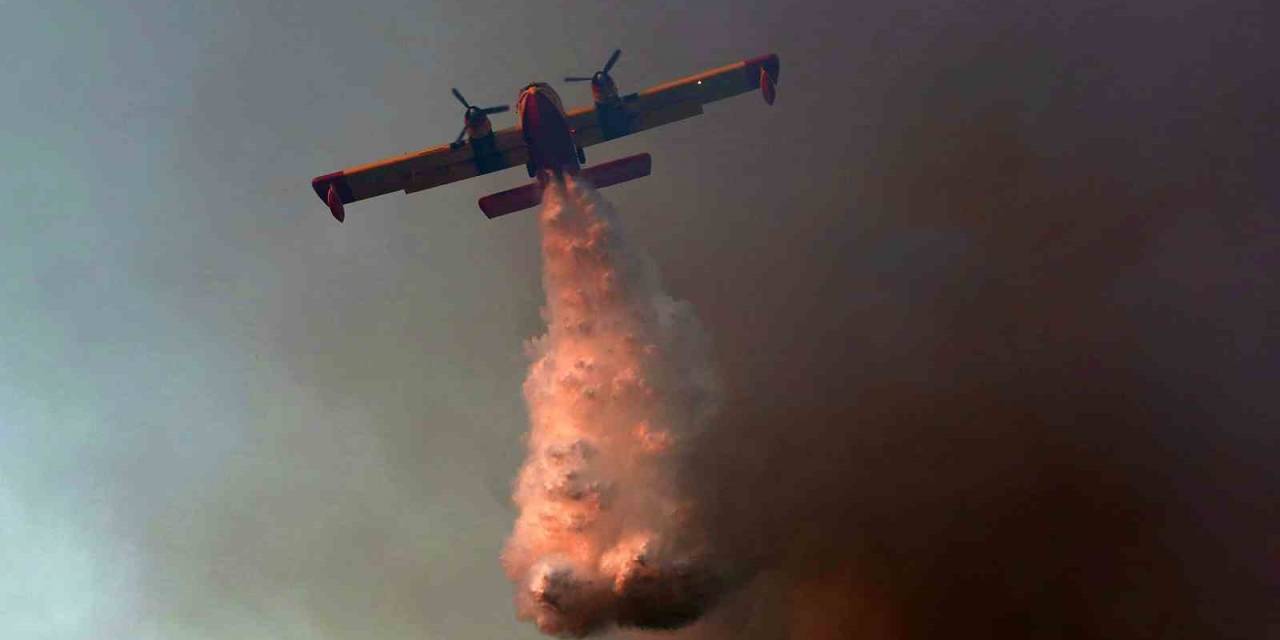 Yunanistan’ın Oropos Bölgesinde Orman Yangını