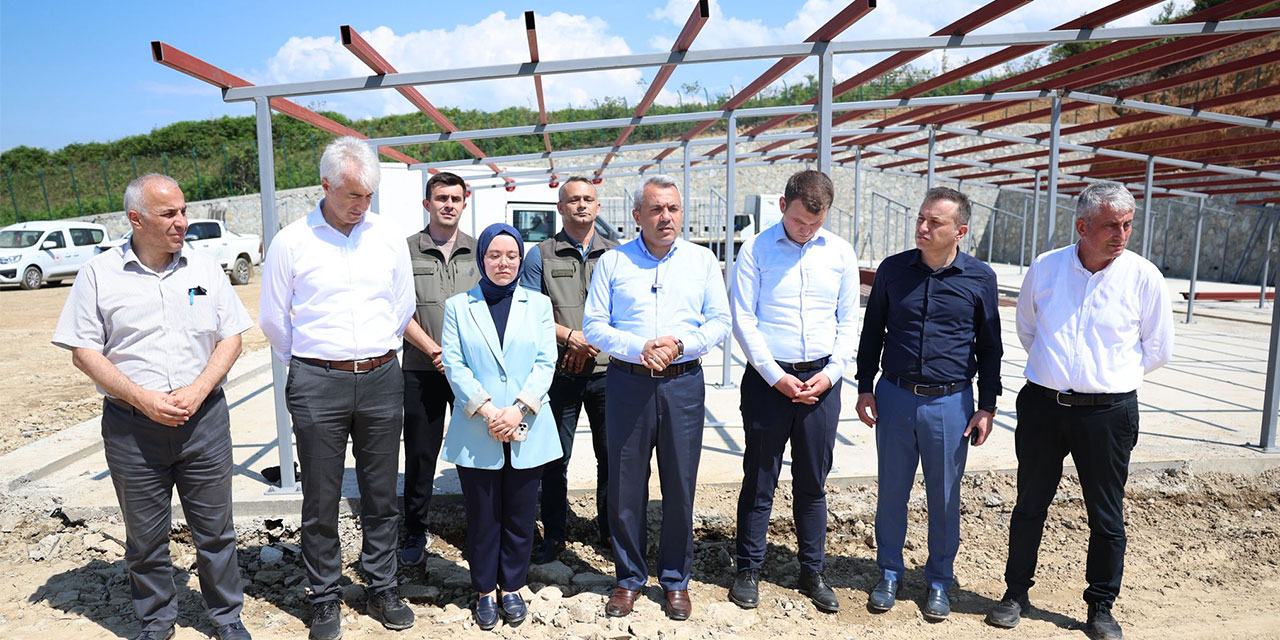 Rize Valisi Baydaş: Fındıklı'daki Sahipsiz Sokak Hayvanları Doğal Yaşam Alanı Ağustos’ta Açılıyor