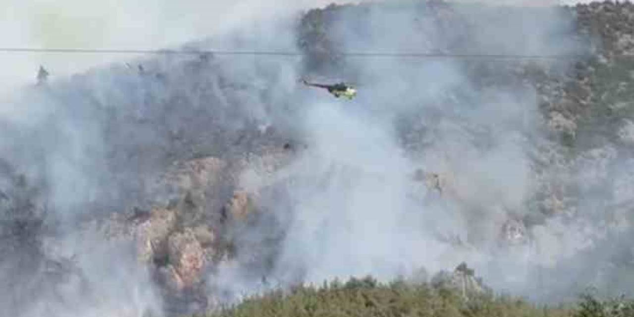 Bilecik’te Bir Başka Orman Yangını Daha Çıktı