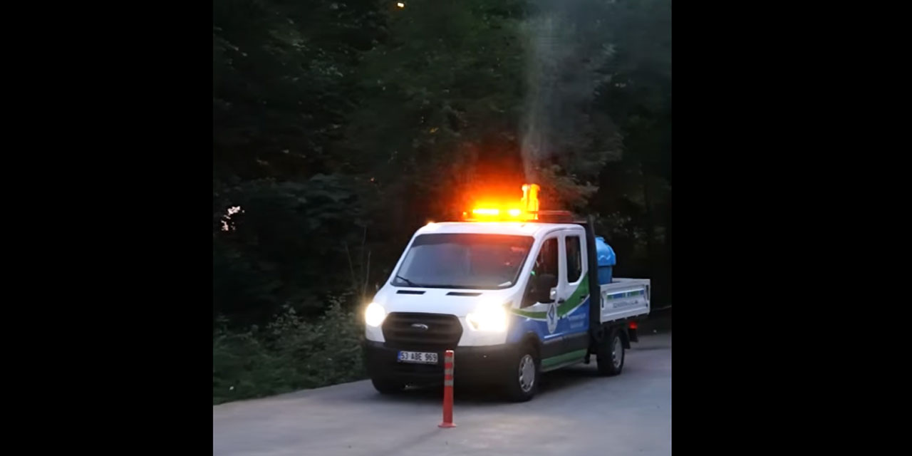 Rize'de Sivrisinek İsyanı: Belediyeye Takviye Çağrısı