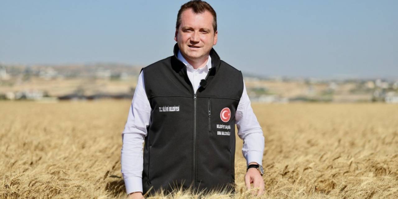 Silivri Belediyesi, Buğday Hasadını Tamamladı