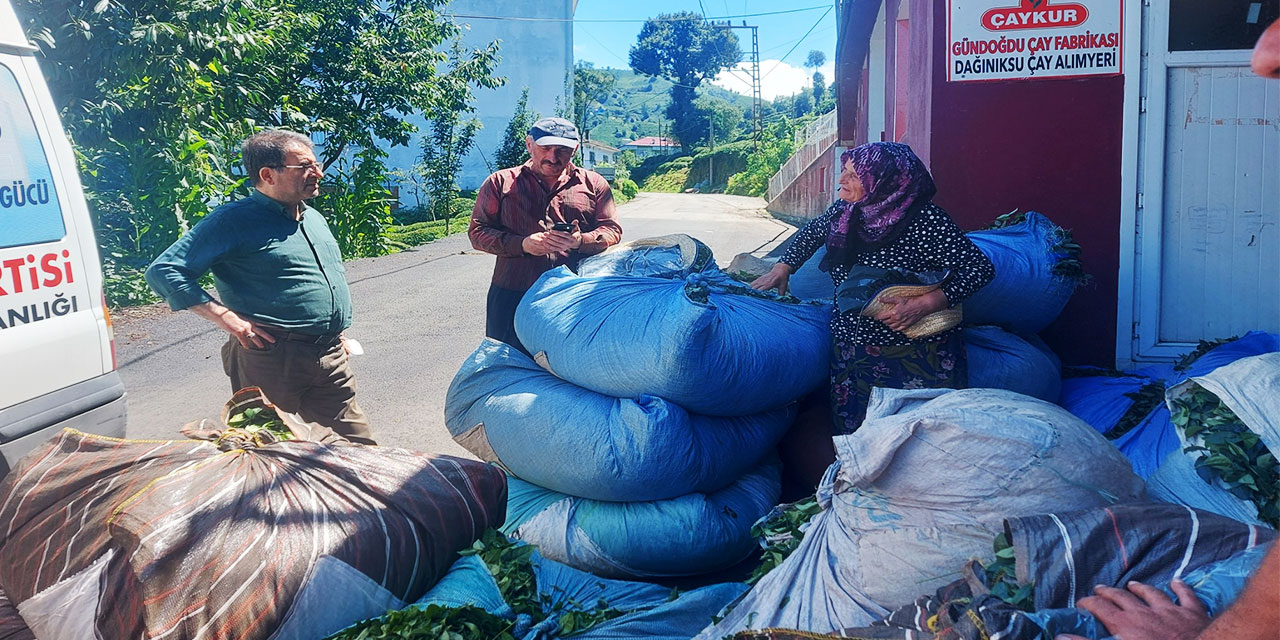 Deniz'den Çay Üreticilerine Çağrı: "Sorunlarınızın Nedeni Çay Kanununu Çıkarmayan AKP İktidarı!"