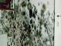 Küfle baş edemeyenler dikkat !