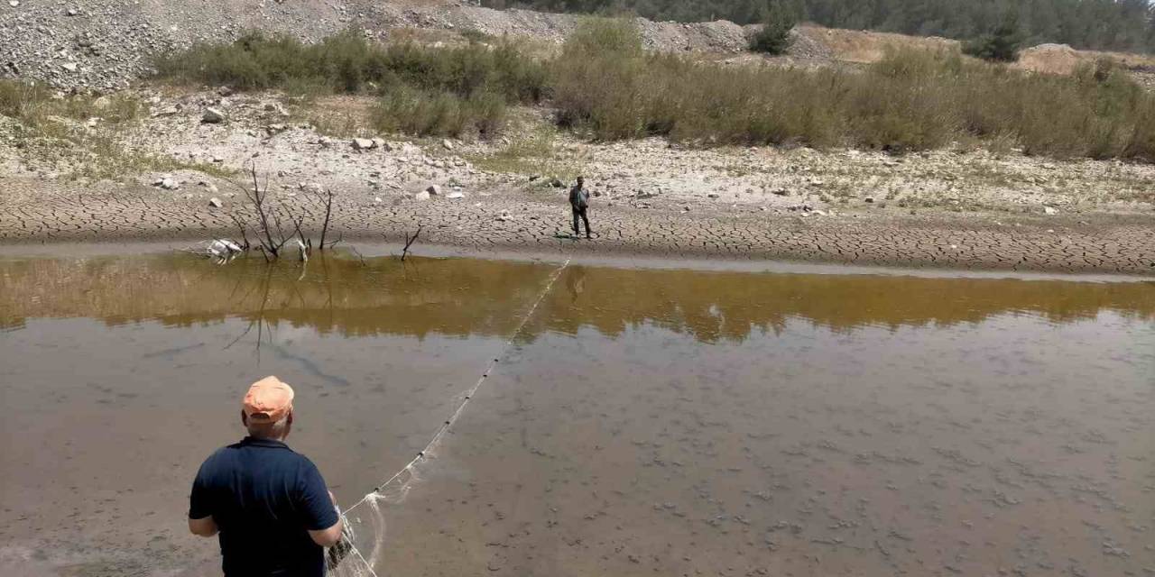 Balıklar Ölmesin Diye Zamanla Yarıştılar