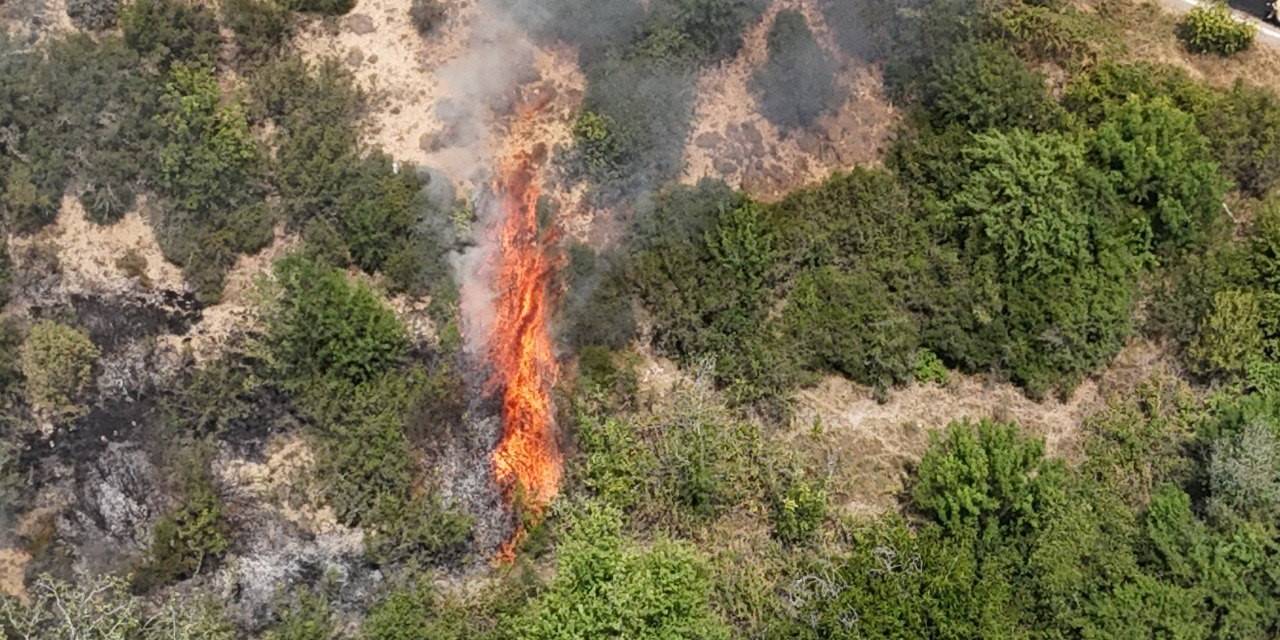 Karabük’te Orman Yangını Kontrol Altına Alındı