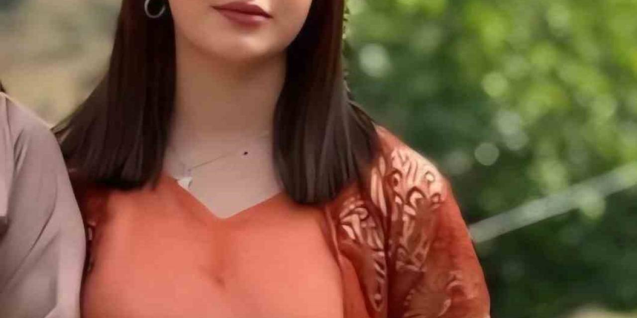 Ekipler Kayıp Rojda İçin Seferber Oldu