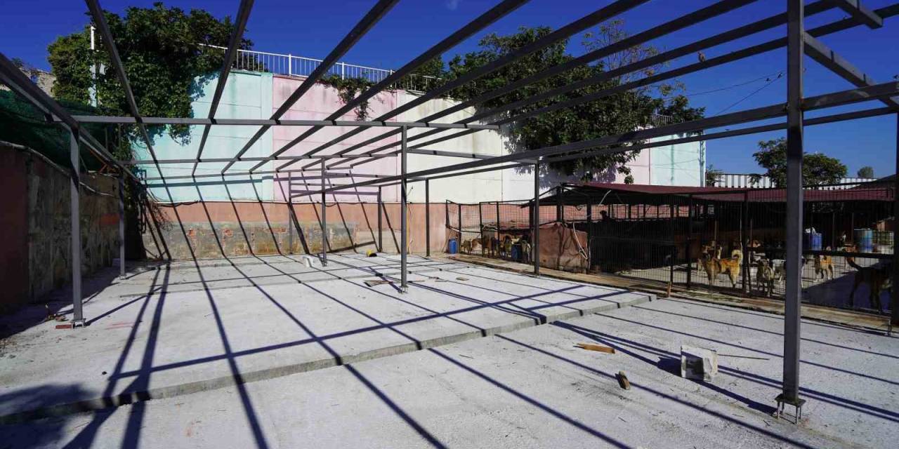 Yedikule Hayvan Barınağı’nın 2. Etabı Tamamlandı