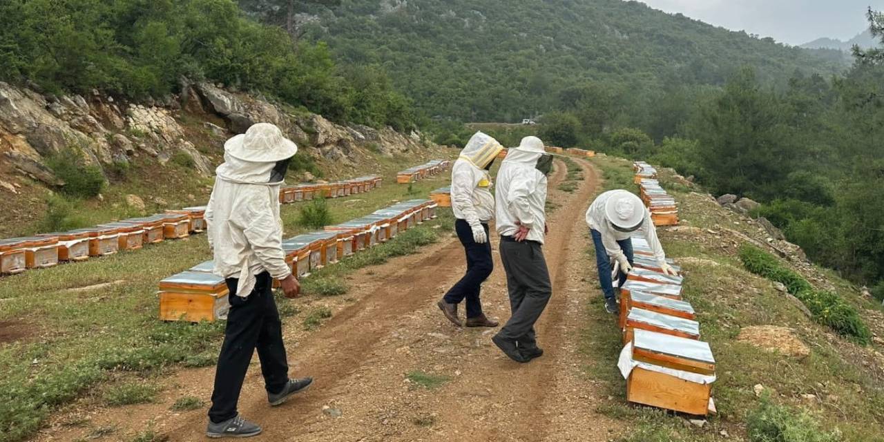 Adıyamanlı Arıcılar, 2025 Yılı Bal Fiyatlarını Açıkladı