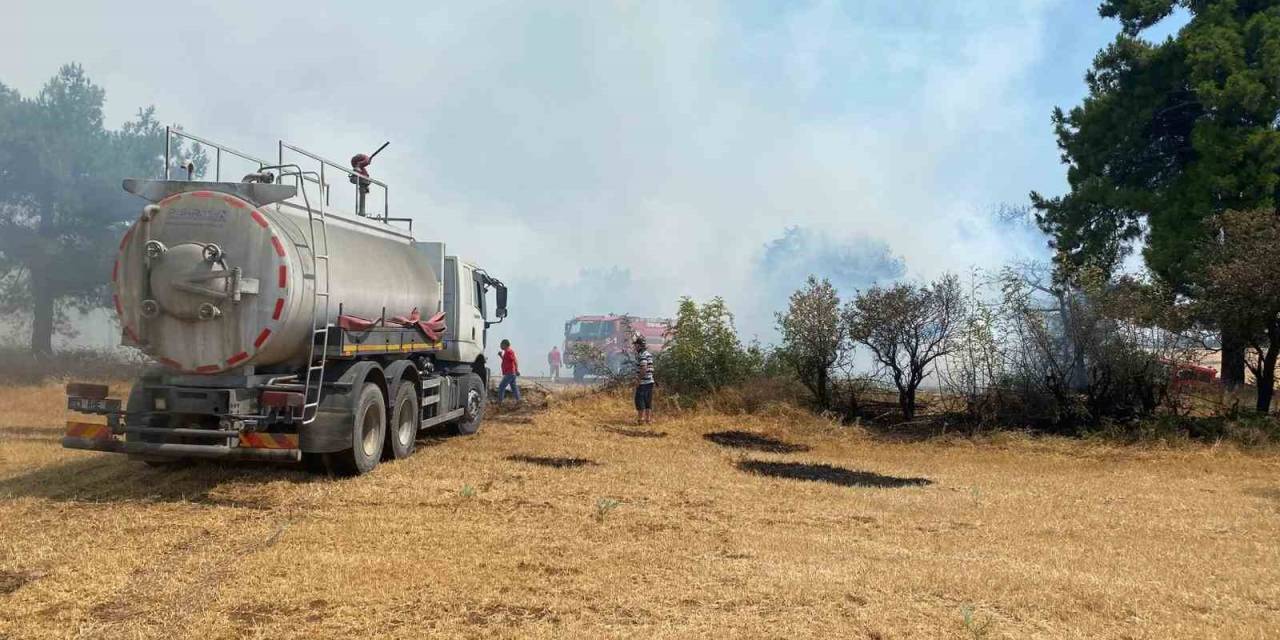 Çanakkale’de Orman Yangını Kontrol Altına Alındı