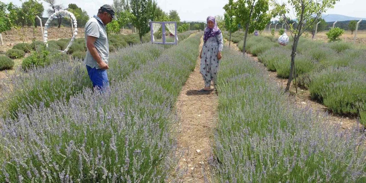 Hobiyle Başladılar, Geçim Kaynağına Dönüştü