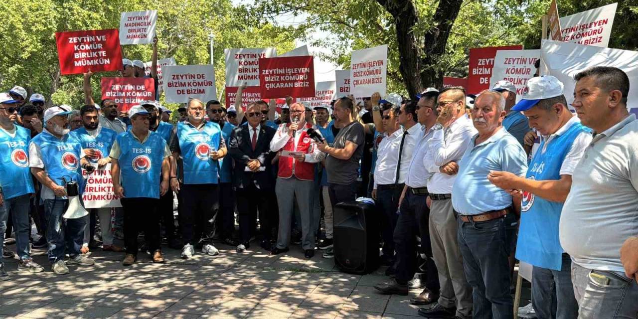 Enerji Torba Yasasından Köylüye Müjde Çıktı: "Taşınan Zeytin Ağacının İki Katı Kadar Yeniden Dikilecek"