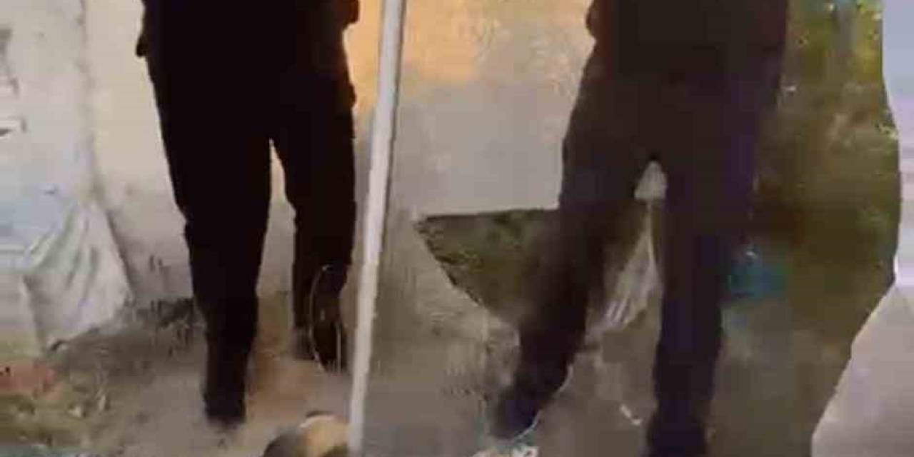 Batman’da Kuyuya Düşen Yavru Köpeği İtfaiye Kurtardı