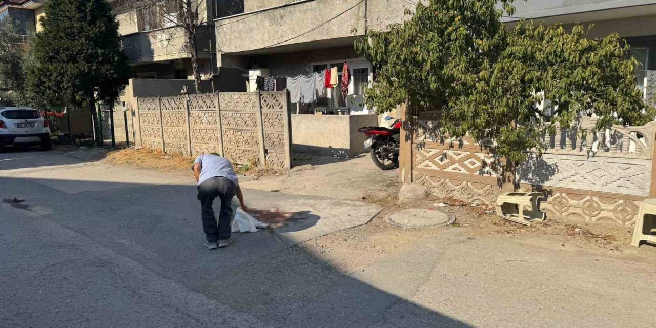 Tartıştığı Babasını Pompalı Tüfekle Vurarak Öldürmüştü, Tutuklandı