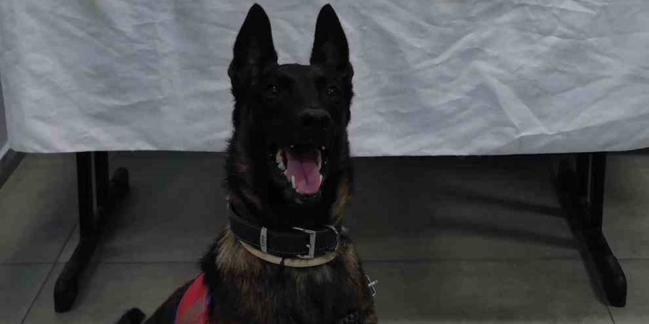 Germencik’te Durdurulan Araçta Uyuşturucu Ele Geçirildi