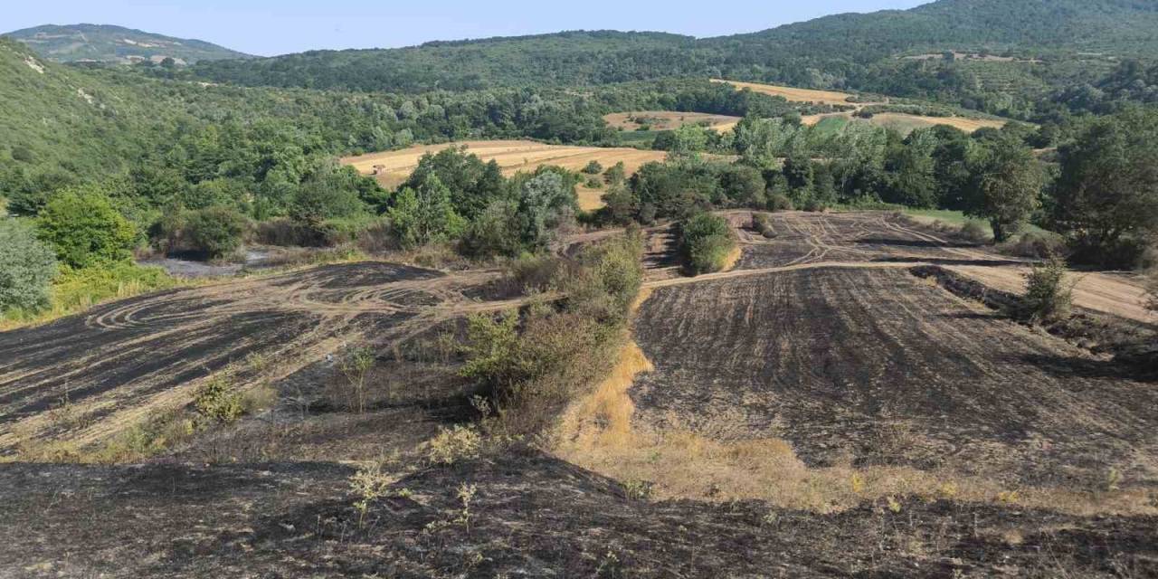 Yangında Ekinleri Zarar Gören Çiftçilere Gübre Ve Tohum Desteği