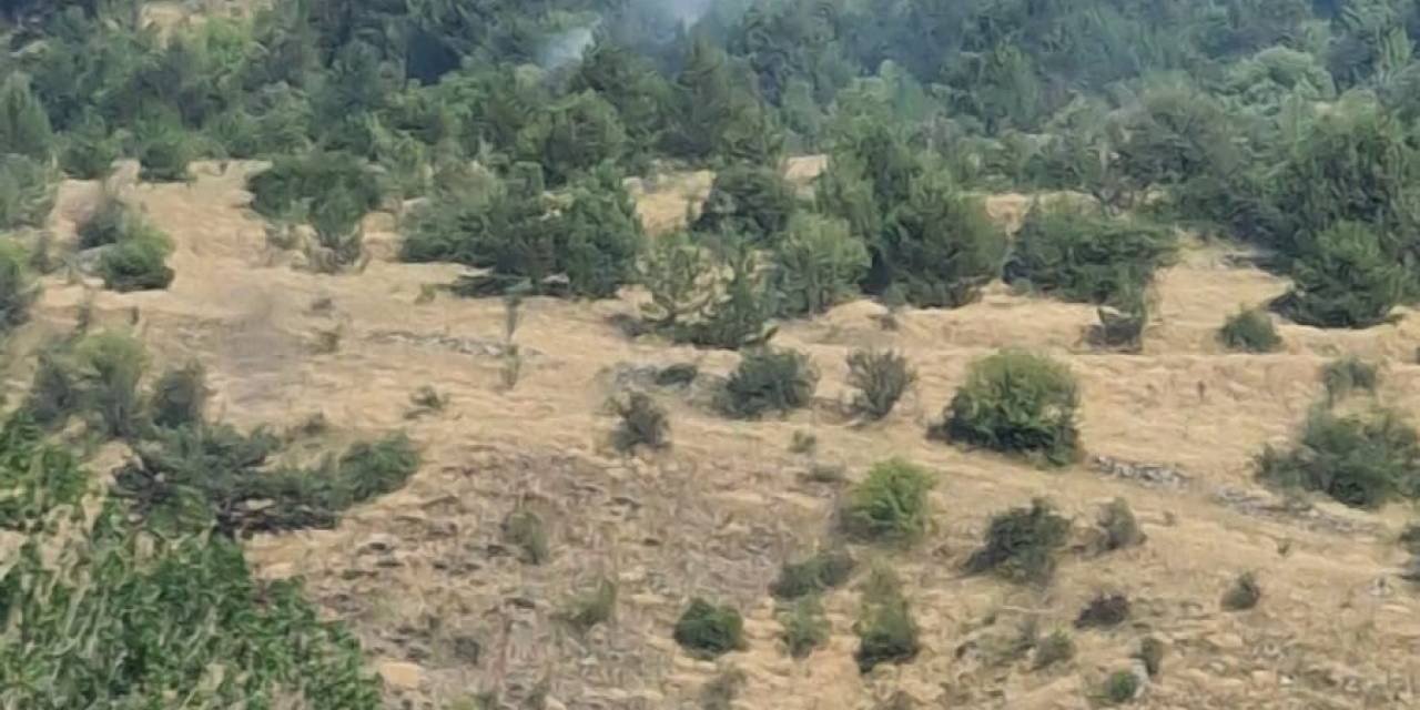 Bolu’da Yıldırım Kaynaklı Çıkan Yangınlar Söndürüldü