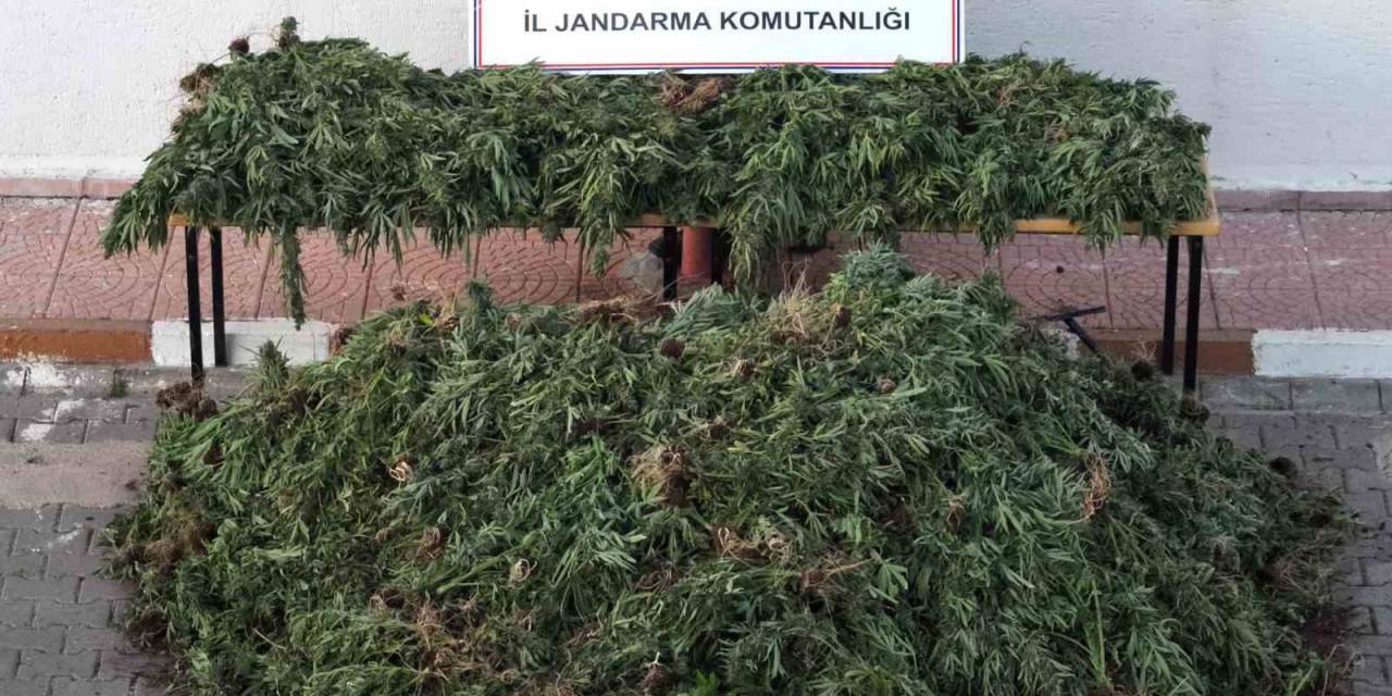 Şanlıurfa’da Dron Destekli Uyuşturucu Operasyonu: 9 Gözaltı