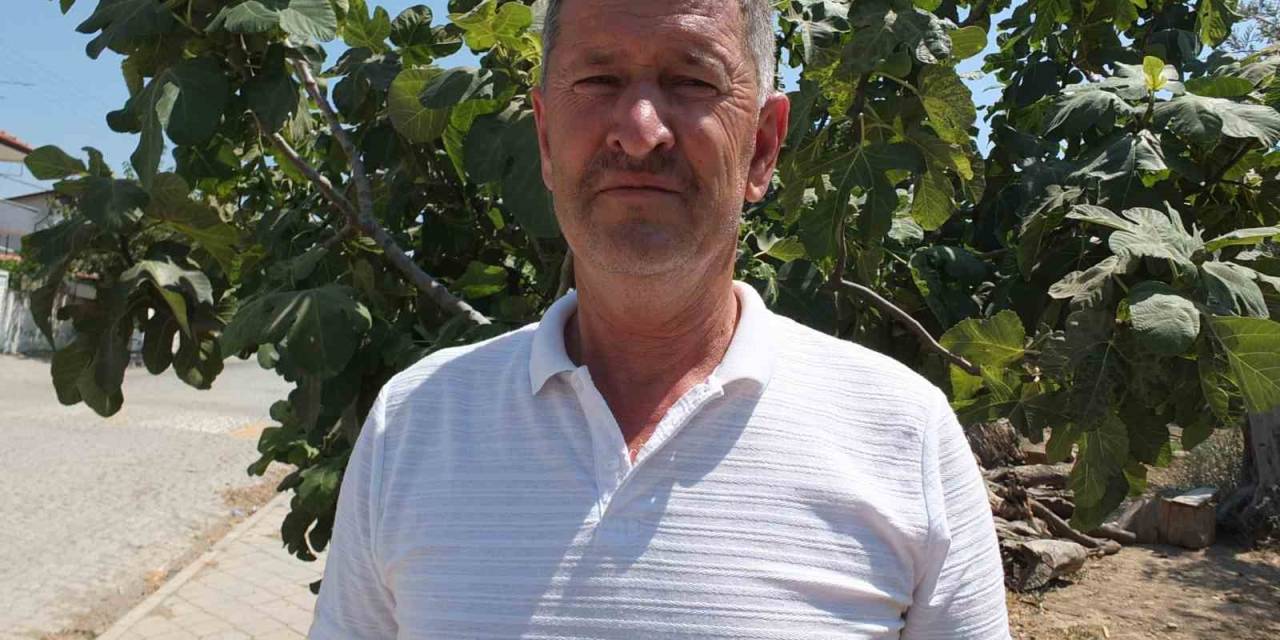 Balıkesirli Çiftçi Oturduğu Caddeyi Meyve Ağaçlarıyla Yeşillendirdi