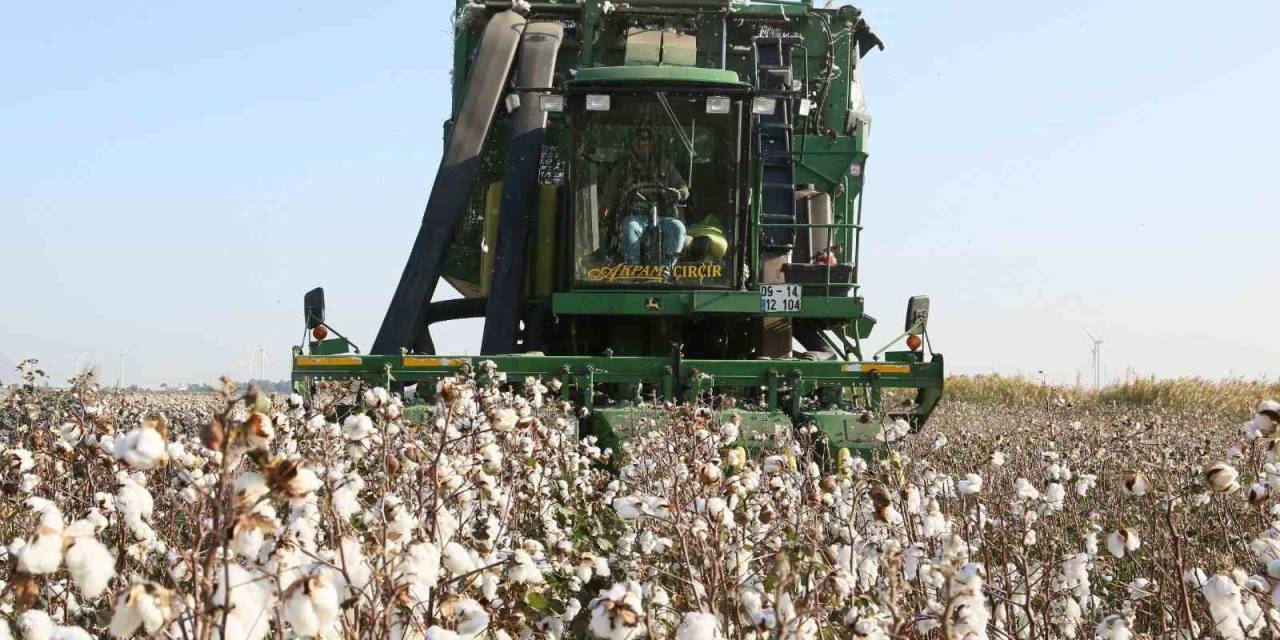 Sökeli Pamuk Üreticilerine ’beyan’ Duyurusu