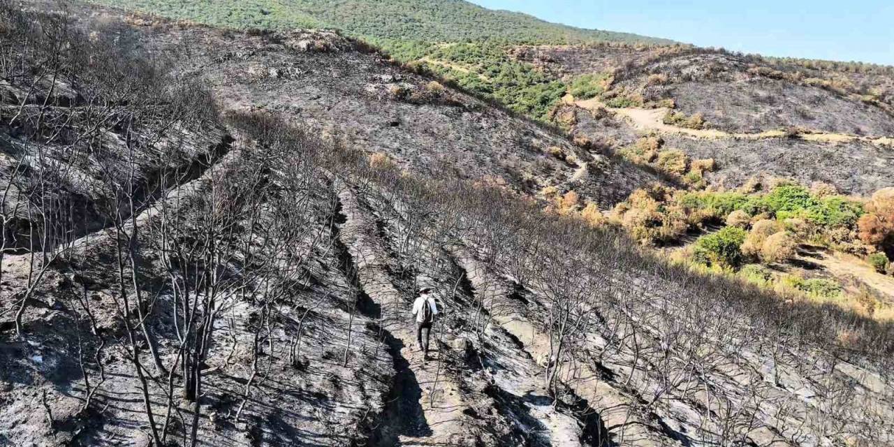 Bilecik’te Orman Yangını Sonrası Yürek Burkan Manzara Havadan Görüntülendi