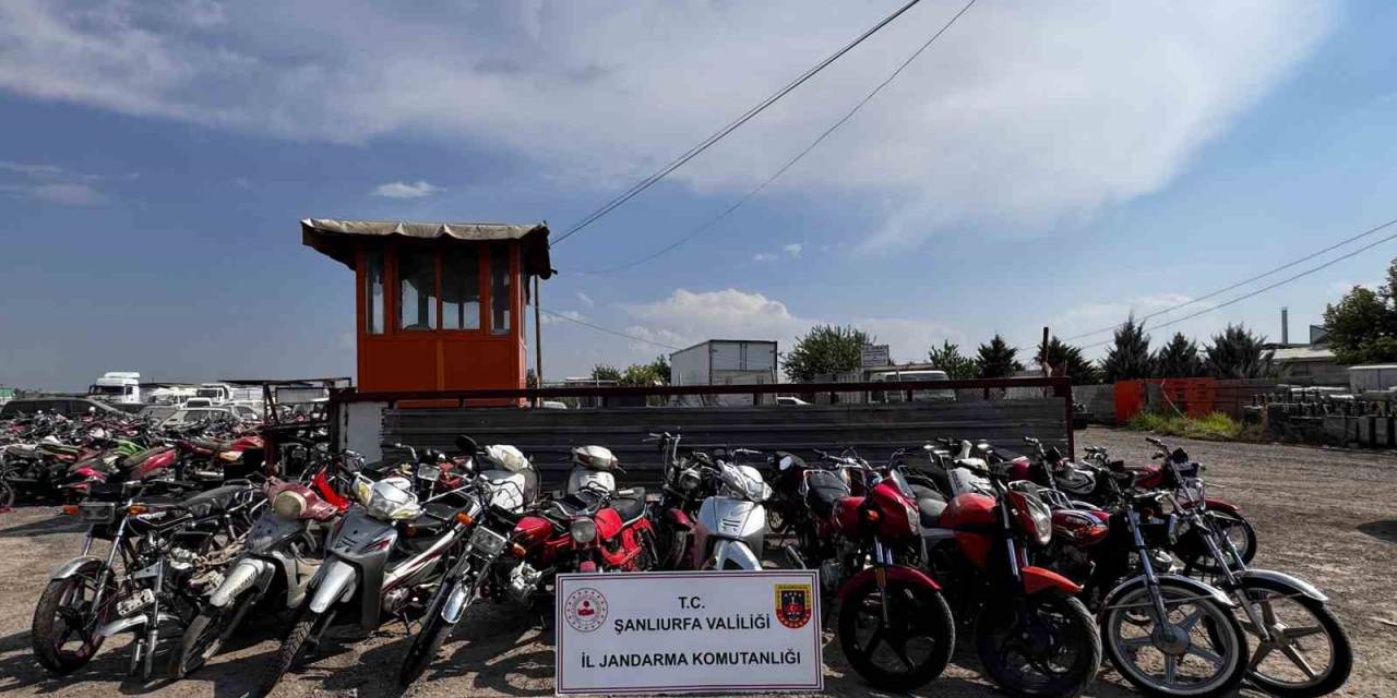 Şanlıurfa’da Motosiklet Hırsızlığı Operasyonu: 7 Gözaltı