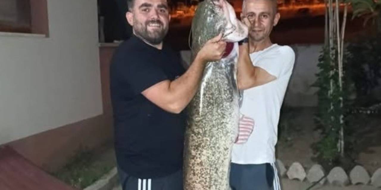 Bilecik’te Dev Yayın Balığını Tutuldu